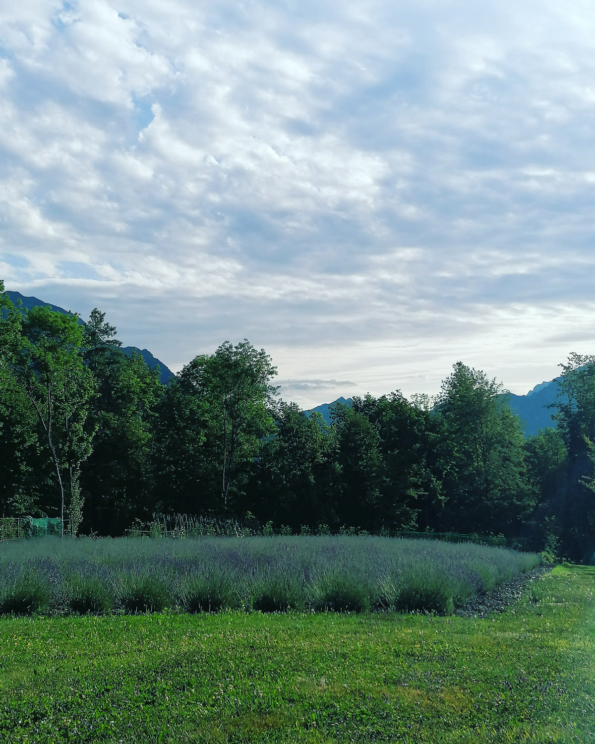Francy-farm-dolomiti-00001